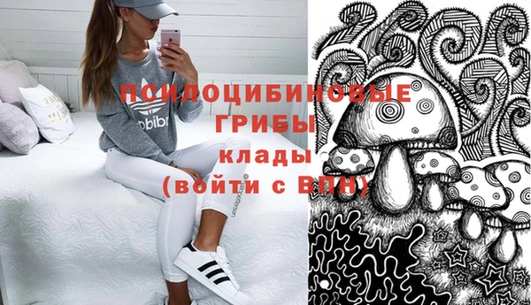 МДПВ Алексеевка
