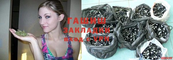 стаф Алзамай